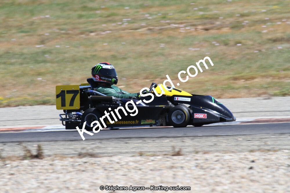30 & 31/05/2015 : SuperKart 250, TTI Carbone et Championnat de France Long Circuit KZ2 et KZ2 Gentleman à Lédenon (Photos Stéphane Agnus) 2015 — karting