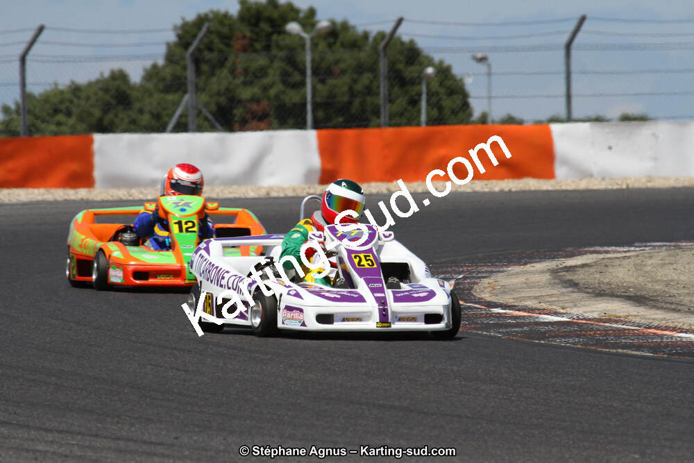30 & 31/05/2015 : SuperKart 250, TTI Carbone et Championnat de France Long Circuit KZ2 et KZ2 Gentleman à Lédenon (Photos Stéphane Agnus) 2015 — karting