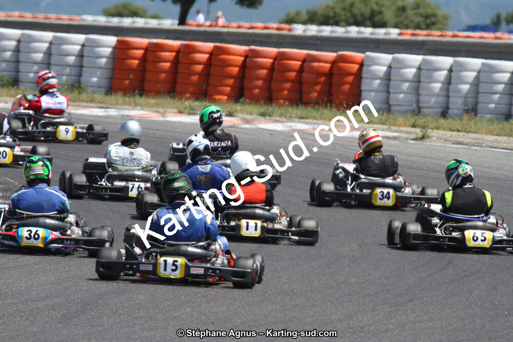 30 & 31/05/2015 : SuperKart 250, TTI Carbone et Championnat de France Long Circuit KZ2 et KZ2 Gentleman à Lédenon (Photos Stéphane Agnus) 2015 — karting