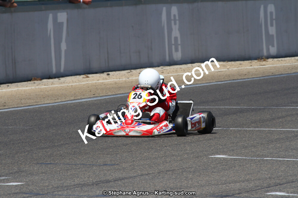 30 & 31/05/2015 : SuperKart 250, TTI Carbone et Championnat de France Long Circuit KZ2 et KZ2 Gentleman à Lédenon (Photos Stéphane Agnus) 2015 — karting