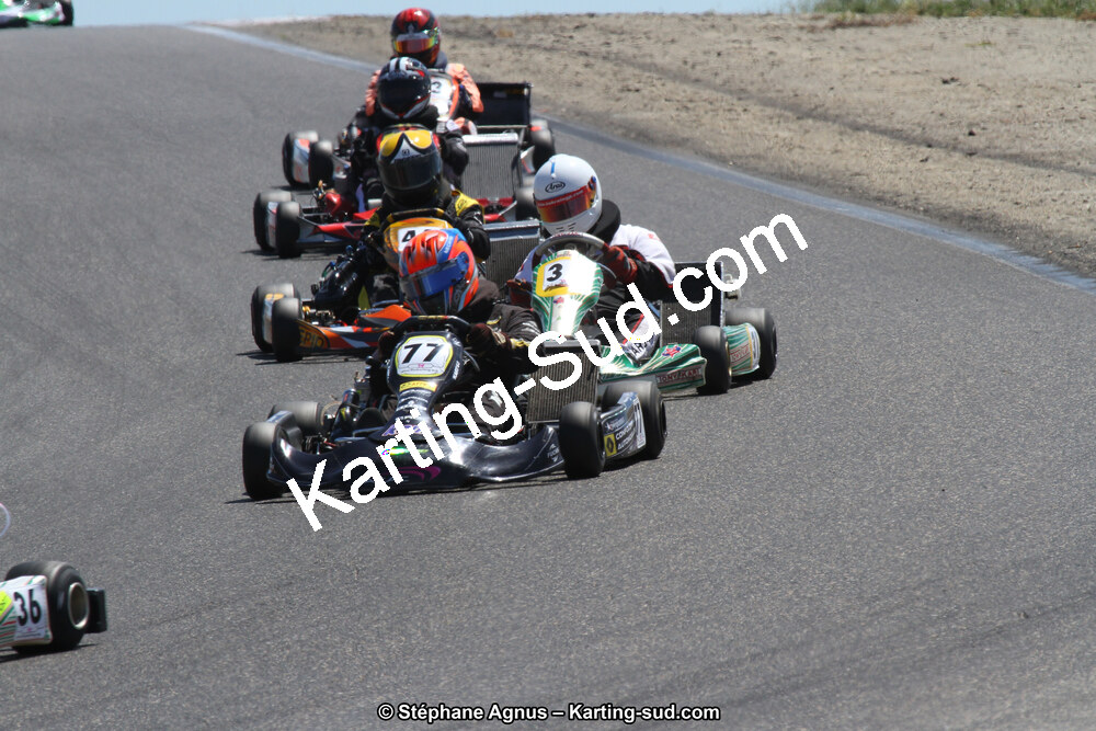 30 & 31/05/2015 : SuperKart 250, TTI Carbone et Championnat de France Long Circuit KZ2 et KZ2 Gentleman à Lédenon (Photos Stéphane Agnus) 2015 — karting