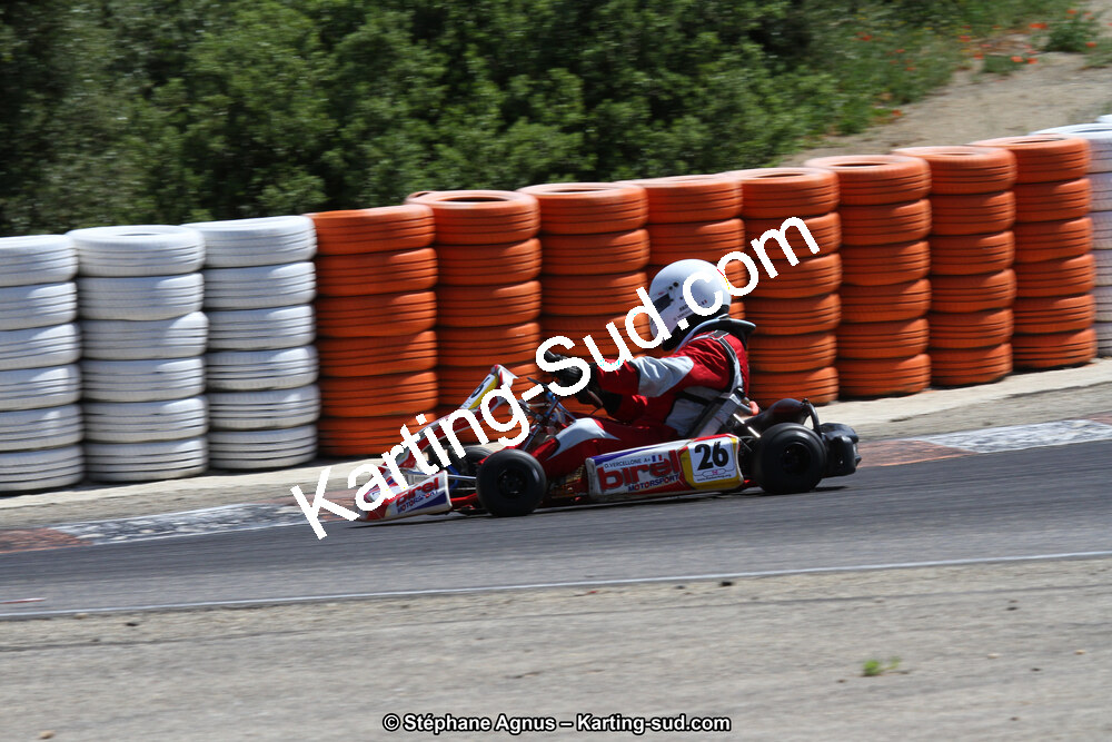 30 & 31/05/2015 : SuperKart 250, TTI Carbone et Championnat de France Long Circuit KZ2 et KZ2 Gentleman à Lédenon (Photos Stéphane Agnus) 2015 — karting