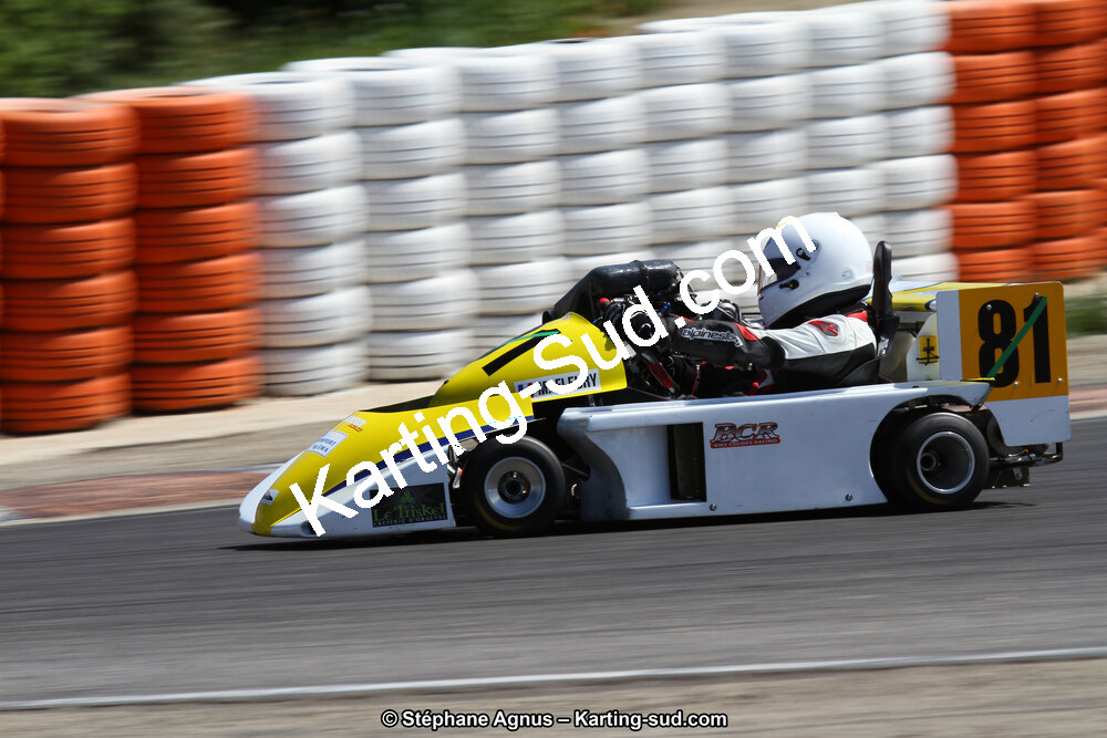 30 & 31/05/2015 : SuperKart 250, TTI Carbone et Championnat de France Long Circuit KZ2 et KZ2 Gentleman à Lédenon (Photos Stéphane Agnus) 2015 — karting