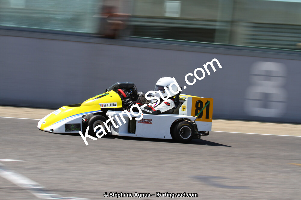 30 & 31/05/2015 : SuperKart 250, TTI Carbone et Championnat de France Long Circuit KZ2 et KZ2 Gentleman à Lédenon (Photos Stéphane Agnus) 2015 — karting