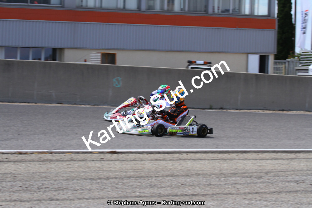 30 & 31/05/2015 : SuperKart 250, TTI Carbone et Championnat de France Long Circuit KZ2 et KZ2 Gentleman à Lédenon (Photos Stéphane Agnus) 2015 — karting
