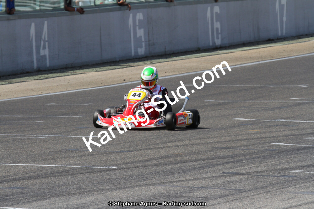 30 & 31/05/2015 : SuperKart 250, TTI Carbone et Championnat de France Long Circuit KZ2 et KZ2 Gentleman à Lédenon (Photos Stéphane Agnus) 2015 — karting