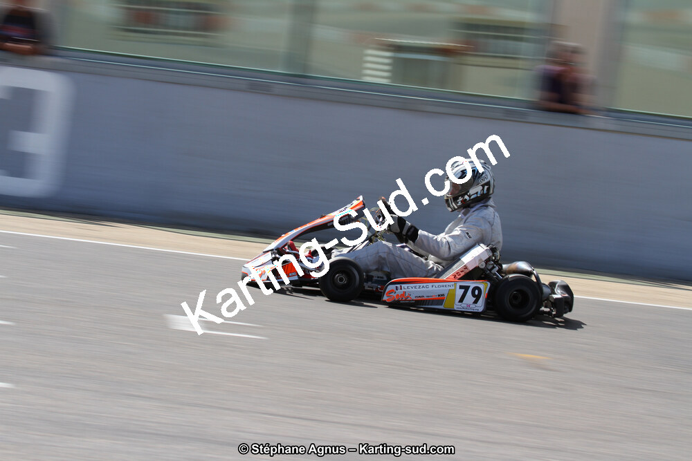 30 & 31/05/2015 : SuperKart 250, TTI Carbone et Championnat de France Long Circuit KZ2 et KZ2 Gentleman à Lédenon (Photos Stéphane Agnus) 2015 — karting