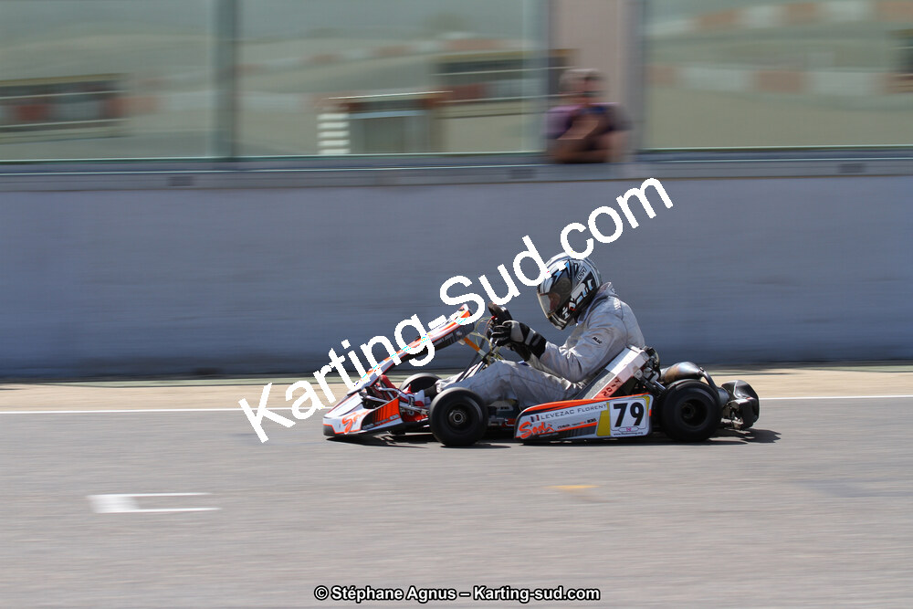 30 & 31/05/2015 : SuperKart 250, TTI Carbone et Championnat de France Long Circuit KZ2 et KZ2 Gentleman à Lédenon (Photos Stéphane Agnus) 2015 — karting