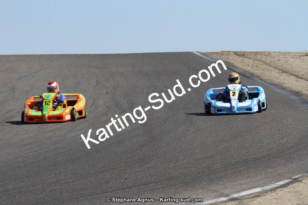 30 & 31/05/2015 : SuperKart 250, TTI Carbone et Championnat de France Long Circuit KZ2 et KZ2 Gentleman à Lédenon (Photos Stéphane Agnus) 2015 — karting