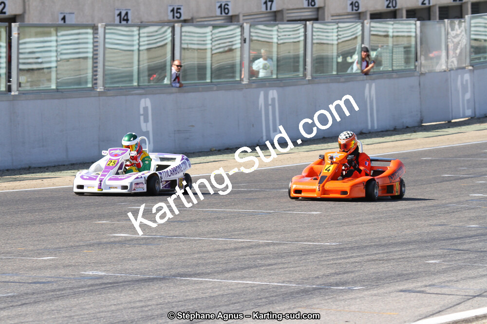 30 & 31/05/2015 : SuperKart 250, TTI Carbone et Championnat de France Long Circuit KZ2 et KZ2 Gentleman à Lédenon (Photos Stéphane Agnus) 2015 — karting