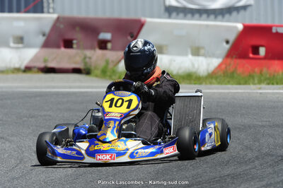 21/06/2015 : Course Club de Muret (Photos Patrick Lascombes) 2015 — karting