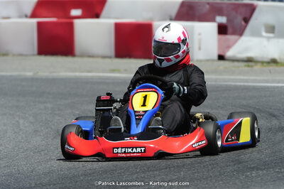 21/06/2015 : Course Club de Muret (Photos Patrick Lascombes) 2015 — karting