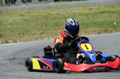21/06/2015 : Course Club de Muret (Photos Patrick Lascombes) 2015 — karting