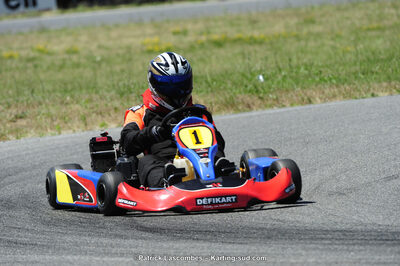 21/06/2015 : Course Club de Muret (Photos Patrick Lascombes) 2015 — karting