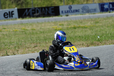 21/06/2015 : Course Club de Muret (Photos Patrick Lascombes) 2015 — karting