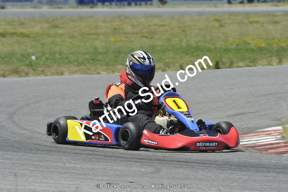 21/06/2015 : Course Club de Muret (Photos Patrick Lascombes) 2015 — karting