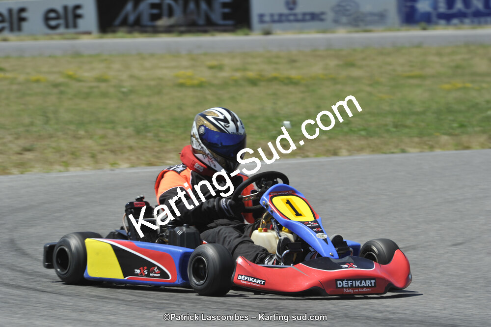 21/06/2015 : Course Club de Muret (Photos Patrick Lascombes) 2015 — karting