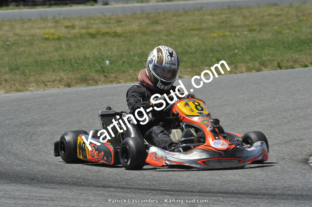 21/06/2015 : Course Club de Muret (Photos Patrick Lascombes) 2015 — karting