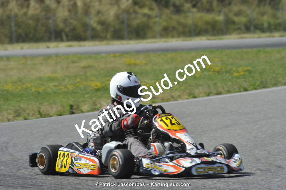 21/06/2015 : Course Club de Muret (Photos Patrick Lascombes) 2015 — karting