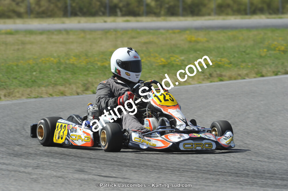 21/06/2015 : Course Club de Muret (Photos Patrick Lascombes) 2015 — karting