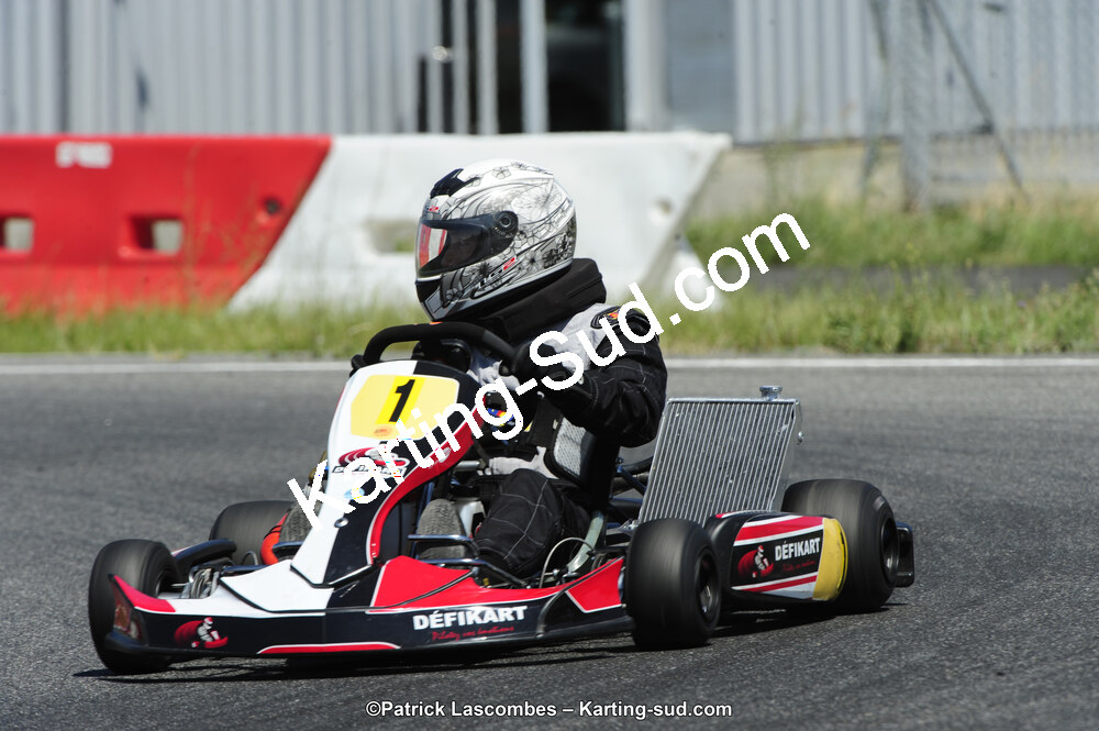 21/06/2015 : Course Club de Muret (Photos Patrick Lascombes) 2015 — karting