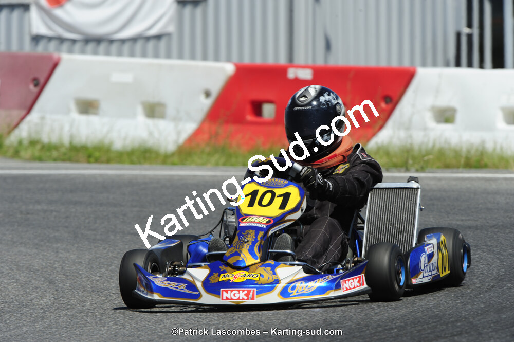 21/06/2015 : Course Club de Muret (Photos Patrick Lascombes) 2015 — karting