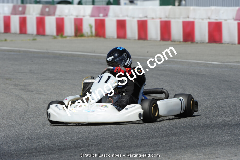 21/06/2015 : Course Club de Muret (Photos Patrick Lascombes) 2015 — karting