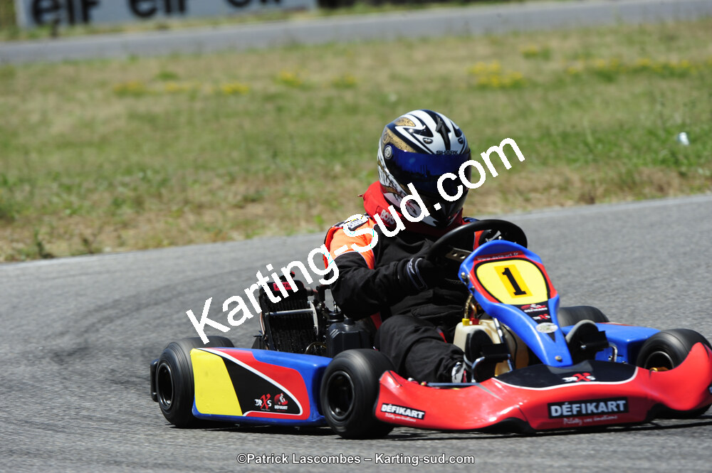 21/06/2015 : Course Club de Muret (Photos Patrick Lascombes) 2015 — karting