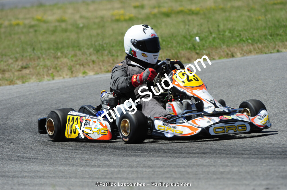 21/06/2015 : Course Club de Muret (Photos Patrick Lascombes) 2015 — karting
