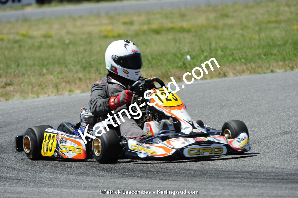 21/06/2015 : Course Club de Muret (Photos Patrick Lascombes) 2015 — karting