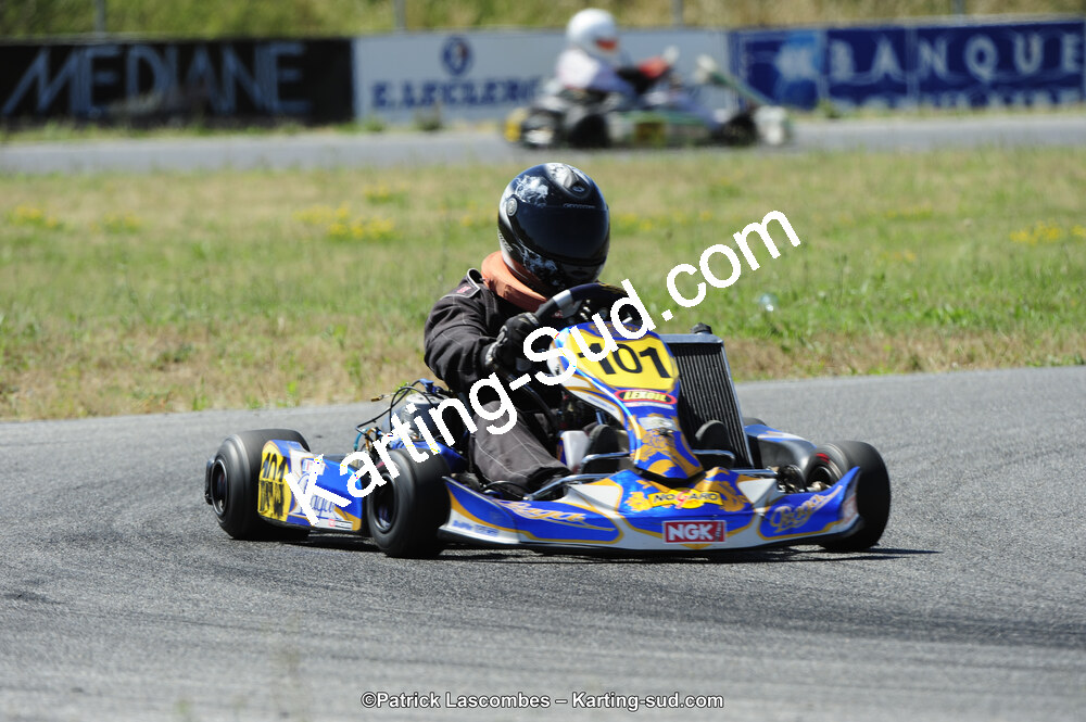 21/06/2015 : Course Club de Muret (Photos Patrick Lascombes) 2015 — karting