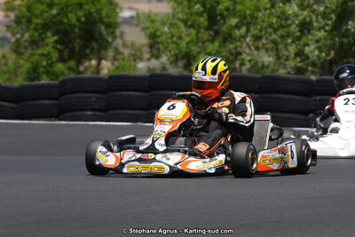 27 & 28/06/2015 : Championnat de France X30 et Coupe de France Minikart à Belmont sur Rance (Photos Stéphane Agnus) 2015 — karting