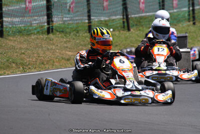 27 & 28/06/2015 : Championnat de France X30 et Coupe de France Minikart à Belmont sur Rance (Photos Stéphane Agnus) 2015 — karting
