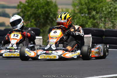 27 & 28/06/2015 : Championnat de France X30 et Coupe de France Minikart à Belmont sur Rance (Photos Stéphane Agnus) 2015 — karting