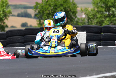 27 & 28/06/2015 : Championnat de France X30 et Coupe de France Minikart à Belmont sur Rance (Photos Stéphane Agnus) 2015 — karting