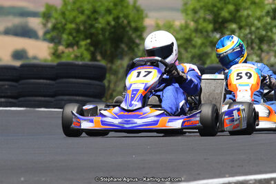 27 & 28/06/2015 : Championnat de France X30 et Coupe de France Minikart à Belmont sur Rance (Photos Stéphane Agnus) 2015 — karting