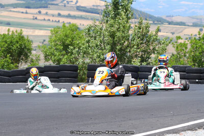 27 & 28/06/2015 : Championnat de France X30 et Coupe de France Minikart à Belmont sur Rance (Photos Stéphane Agnus) 2015 — karting