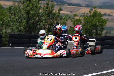27 & 28/06/2015 : Championnat de France X30 et Coupe de France Minikart à Belmont sur Rance (Photos Stéphane Agnus) 2015 — karting