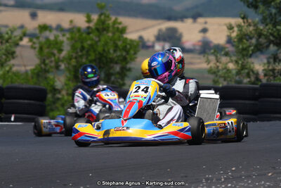 27 & 28/06/2015 : Championnat de France X30 et Coupe de France Minikart à Belmont sur Rance (Photos Stéphane Agnus) 2015 — karting