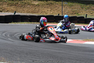 27 & 28/06/2015 : Championnat de France X30 et Coupe de France Minikart à Belmont sur Rance (Photos Stéphane Agnus) 2015 — karting