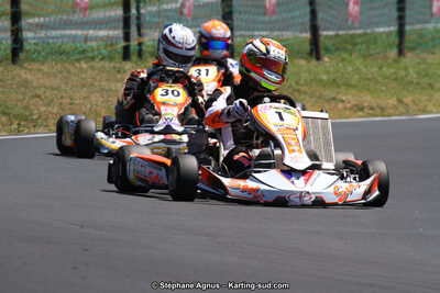 27 & 28/06/2015 : Championnat de France X30 et Coupe de France Minikart à Belmont sur Rance (Photos Stéphane Agnus) 2015 — karting