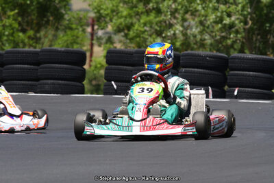 27 & 28/06/2015 : Championnat de France X30 et Coupe de France Minikart à Belmont sur Rance (Photos Stéphane Agnus) 2015 — karting
