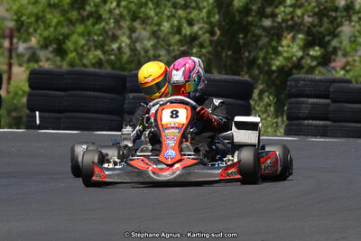 27 & 28/06/2015 : Championnat de France X30 et Coupe de France Minikart à Belmont sur Rance (Photos Stéphane Agnus) 2015 — karting