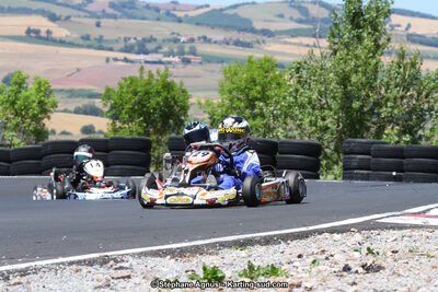 27 & 28/06/2015 : Championnat de France X30 et Coupe de France Minikart à Belmont sur Rance (Photos Stéphane Agnus) 2015 — karting