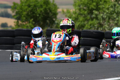 27 & 28/06/2015 : Championnat de France X30 et Coupe de France Minikart à Belmont sur Rance (Photos Stéphane Agnus) 2015 — karting