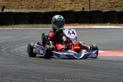 27 & 28/06/2015 : Championnat de France X30 et Coupe de France Minikart à Belmont sur Rance (Photos Stéphane Agnus) 2015 — karting