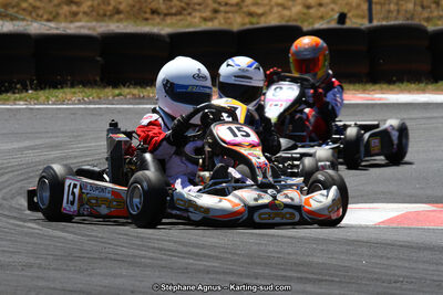 27 & 28/06/2015 : Championnat de France X30 et Coupe de France Minikart à Belmont sur Rance (Photos Stéphane Agnus) 2015 — karting