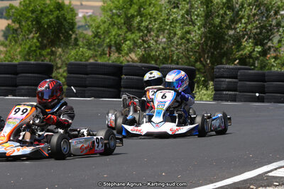 27 & 28/06/2015 : Championnat de France X30 et Coupe de France Minikart à Belmont sur Rance (Photos Stéphane Agnus) 2015 — karting