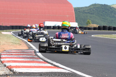 27 & 28/06/2015 : Championnat de France X30 et Coupe de France Minikart à Belmont sur Rance (Photos Stéphane Agnus) 2015 — karting
