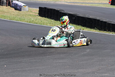 27 & 28/06/2015 : Championnat de France X30 et Coupe de France Minikart à Belmont sur Rance (Photos Stéphane Agnus) 2015 — karting